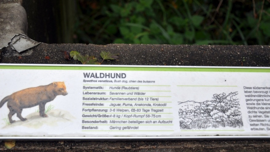 Neben jedem Gehege bietet die Wilhelma eine ausführliche Information zum jeweiligen Tier. Wilhelma Patentag 2014
